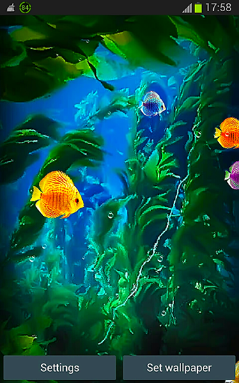 Aquarium 3D by Pups apps für Android spielen. Live Wallpaper Aquarium 3D kostenloser Download.