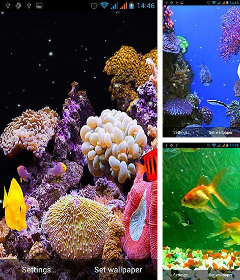 Дополнительно к живым обоям на Андроид телефоны и планшеты Весна, вы можете также бесплатно скачать заставку Aquarium by Best Live Wallpapers Free.
