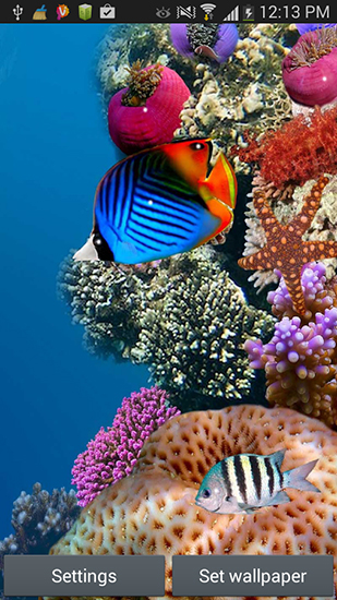 Kostenloses Android-Live Wallpaper Aquarium. Vollversion der Android-apk-App Aquarium by Seafoam für Tablets und Telefone.