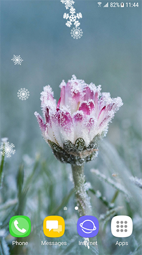 Télécharger le fond d'écran animé gratuit Fleurs d'automne et d'hiver . Obtenir la version complète app apk Android Autumn and winter flowers pour tablette et téléphone.