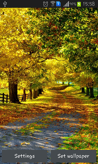 Autumn by Best wallpapers
