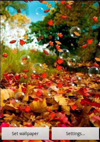 Download Autumn by SubMad Group - livewallpaper for Android. Autumn by SubMad Group apk - free download.