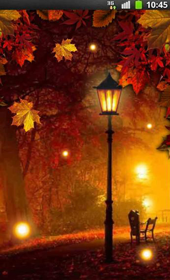 Autumn fireflies für Android spielen. Live Wallpaper Herbstliche Glühwürmchen kostenloser Download.