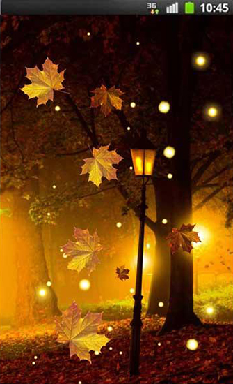 Écrans de Autumn fireflies pour tablette et téléphone Android.