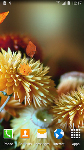 Autumn flower für Android spielen. Live Wallpaper Herbstblume kostenloser Download.