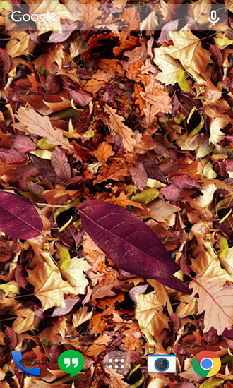 Kostenloses Android-Live Wallpaper Herbstlaub. Vollversion der Android-apk-App Autumn Leaves für Tablets und Telefone.