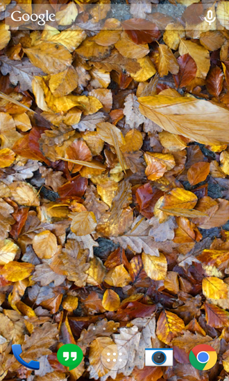 Скріншот Autumn Leaves. Скачати живі шпалери на Андроїд планшети і телефони.