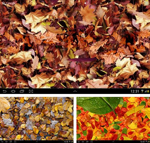 Kostenloses Android-Live Wallpaper Herbstblätter 3D. Vollversion der Android-apk-App Autumn leaves 3D für Tablets und Telefone.