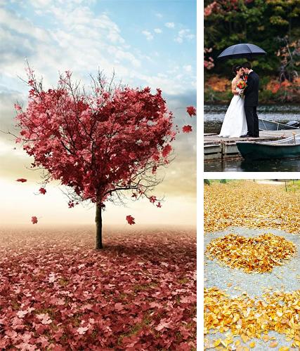 Download live wallpaper Autumn love for Android. Get full version of Android apk livewallpaper Autumn love for tablet and phone.
