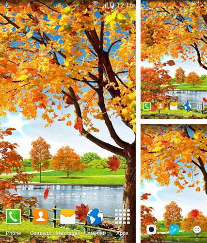 Kostenloses Android-Live Wallpaper Herbstteich. Vollversion der Android-apk-App Autumn pond für Tablets und Telefone.