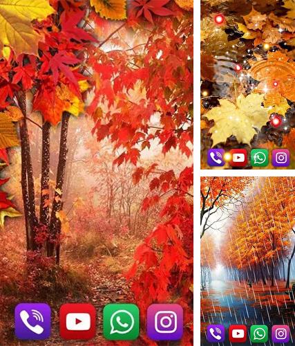 Descarga gratuita fondos de pantalla animados Lluvia de otoño para Android. Consigue la versión completa de la aplicación apk de Autumn rain by SweetMood para tabletas y teléfonos Android.