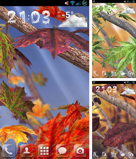 Kostenloses Android-Live Wallpaper Herbst Baum. Vollversion der Android-apk-App Autumn tree für Tablets und Telefone.
