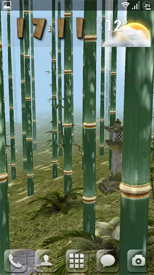 Bamboo grove 3D