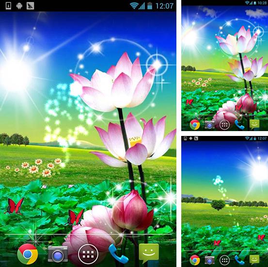 Дополнительно к живым обоям на Андроид телефоны и планшеты День святого Валентина, вы можете также бесплатно скачать заставку Beautiful lotus.