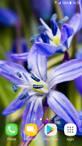 Téléchargement gratuit de Beautiful spring flowers pour Android.