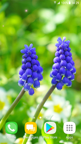 Screenshots von Beautiful spring flowers für Android-Tablet, Smartphone.