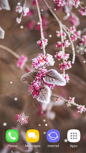 Beautiful winter by Amax LWPS