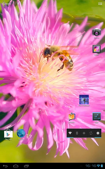 安卓平板、手机Bee on a clover flower 3D截图。