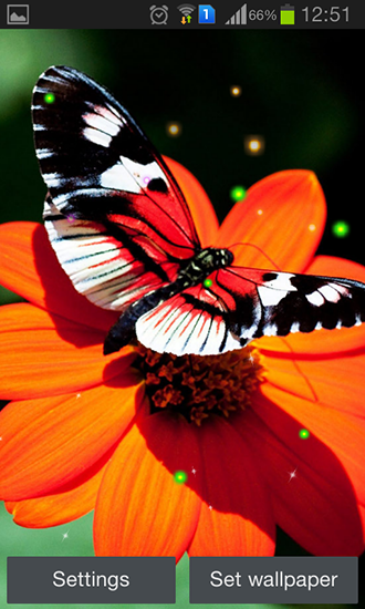 Kostenloses Android-Live Wallpaper Bester Schmetterling. Vollversion der Android-apk-App Best butterfly für Tablets und Telefone.