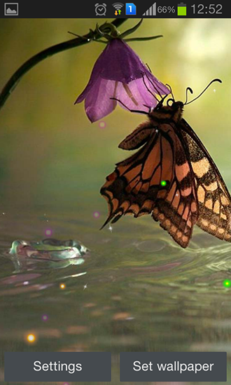 Screenshots of the Best butterfly for Android tablet, phone.