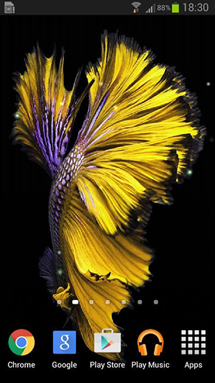 Download Betta fish - livewallpaper for Android. Betta fish apk - free download.