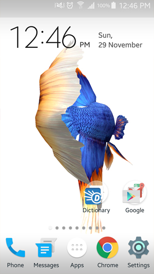 Kostenloses Android-Live Wallpaper Betta Fisch 3D. Vollversion der Android-apk-App Betta Fish 3D für Tablets und Telefone.