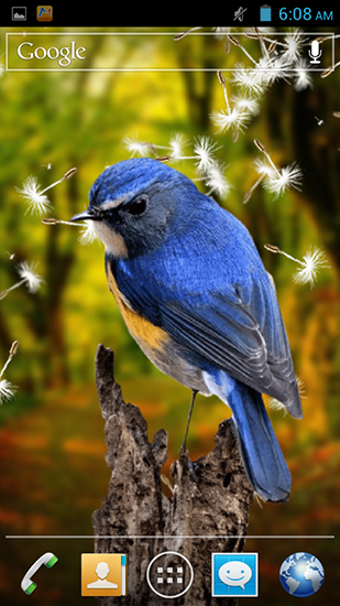 Birds 3D live wallpaper for Android. Birds 3D free download for tablet and  phone.