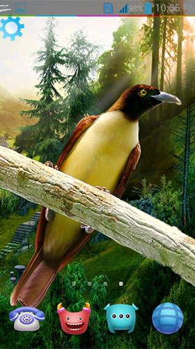 Birds 3D by AppQueen Inc. für Android spielen. Live Wallpaper Vögel 3D kostenloser Download.