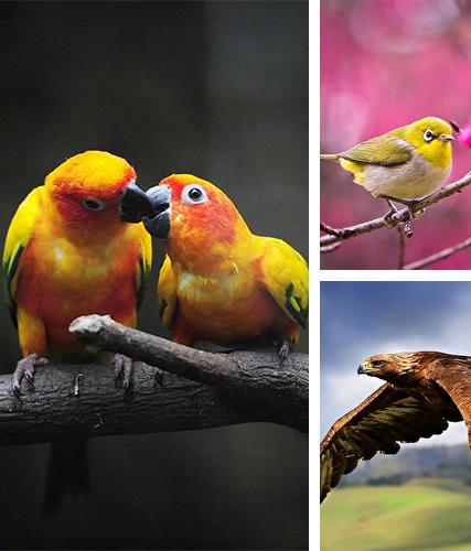 Birds by Happy live wallpapers - бесплатно скачать живые обои на Андроид телефон или планшет.