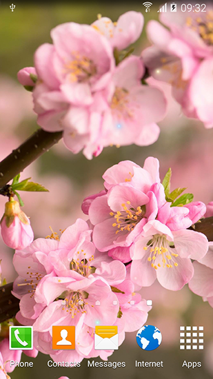 Screenshots of the Blooming trees for Android tablet, phone.