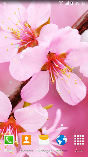 Screenshots of the Blooming trees for Android tablet, phone.