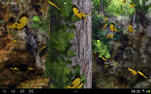 Kostenloses Android-Live Wallpaper Schmetterling 3D. Vollversion der Android-apk-App Butterfly 3D für Tablets und Telefone.
