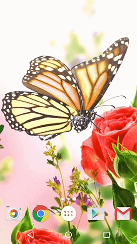 Butterfly by Fun Live Wallpapers