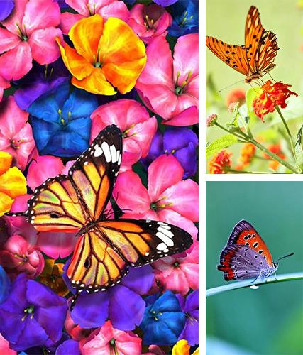 Kostenloses Android-Live Wallpaper Schmetterling. Vollversion der Android-apk-App Butterfly by HQ Awesome Live Wallpaper für Tablets und Telefone.