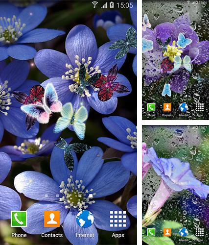 Descarga gratuita fondos de pantalla animados Mariposa para Android. Consigue la versión completa de la aplicación apk de Butterfly by Live Wallpapers 3D para tabletas y teléfonos Android.