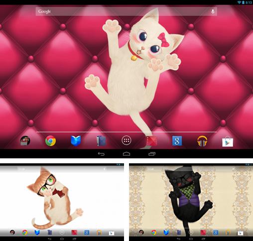 Baixe o papeis de parede animados Cat HD para Android gratuitamente. Obtenha a versao completa do aplicativo apk para Android Cat HD para tablet e celular.
