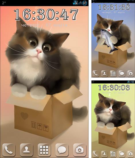 Kostenloses Android-Live Wallpaper Katze in der Schachtel. Vollversion der Android-apk-App Cat in the box für Tablets und Telefone.