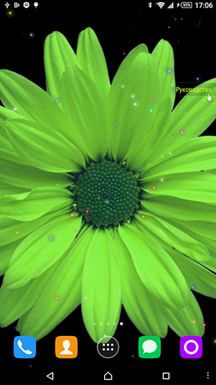 Download livewallpaper Chamomile for Android. Get full version of Android apk livewallpaper Chamomile for tablet and phone.