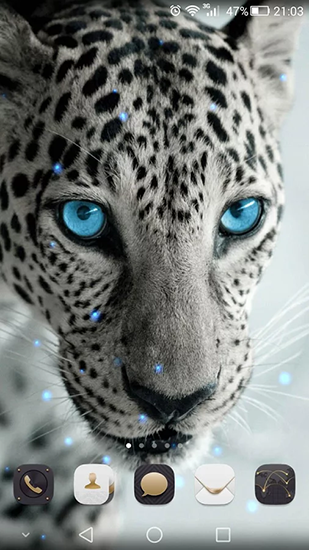 Screenshots of the Cheetah for Android tablet, phone.