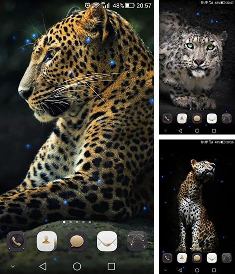 Дополнительно к живым обоям на Андроид телефоны и планшеты Тигр, вы можете также бесплатно скачать заставку Cheetah.