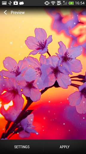 Kostenloses Android-Live Wallpaper Kirschblüten. Vollversion der Android-apk-App Cherry blossom für Tablets und Telefone.