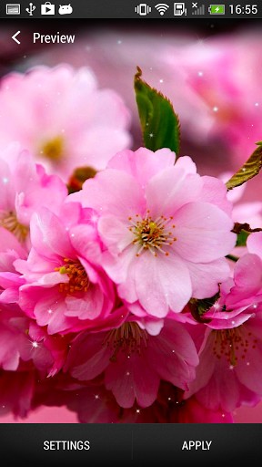 Écrans de Cherry blossom pour tablette et téléphone Android.