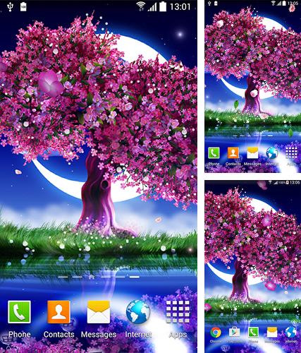 Kostenloses Android-Live Wallpaper Blühende Kirsche. Vollversion der Android-apk-App Cherry in blossom für Tablets und Telefone.
