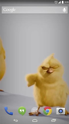 Screenshots von Chickens für Android-Tablet, Smartphone.