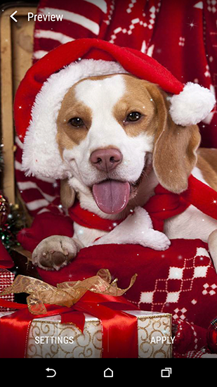 Papeis de parede animados Animais do Natal para Android. Papeis de parede animados Christmas animals para download gratuito.