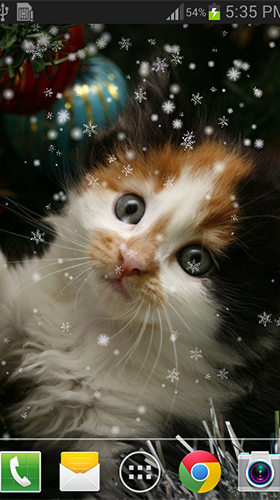 Christmas cat by live wallpaper HongKong für Android spielen. Live Wallpaper Weihnachtskatze kostenloser Download.