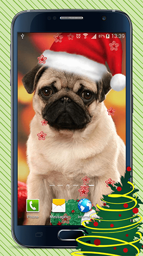 Descargar Christmas dogs para Android gratis. El fondo de pantalla animados  Perros de Navidad en Android.