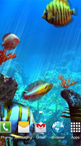 Clownfish aquarium 3D - скачать бесплатно живые обои для Андроид на рабочий стол.