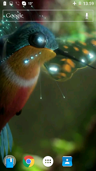Colibri by Joseires