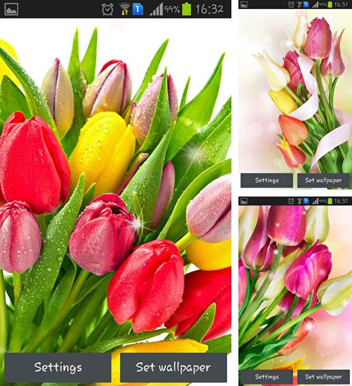 Дополнительно к живым обоям на Андроид телефоны и планшеты Волна Z, вы можете также бесплатно скачать заставку Colorful tulips.